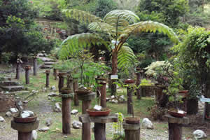 Jardín Botánico Reinaldo Espinosa