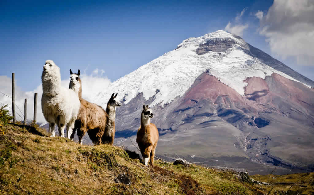 Parque Nacional Cotopaxi Viajar A Ecuador